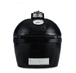 Oval JR 200 Grill