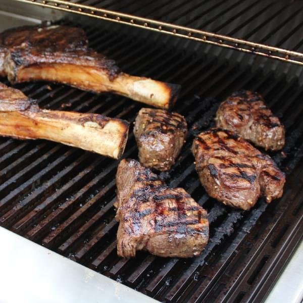ProFire Deluxe Slim Grill – Natural Gas / 48 in / Searing