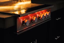 TrueFlame Built-In Gas Grill