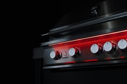 TrueFlame Built-In Gas Grill